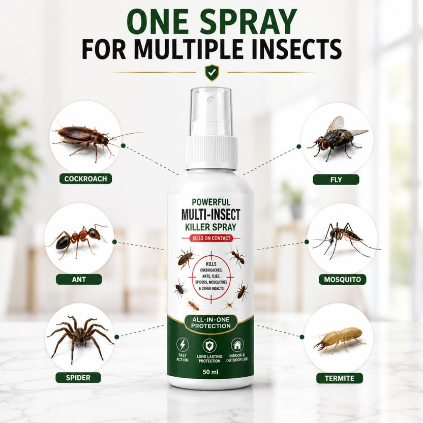 KILLX spray in action - how to use insect spray on walls and corners