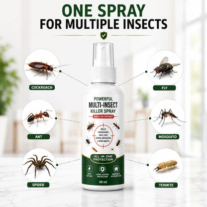 KILLX spray in action - how to use insect spray on walls and corners